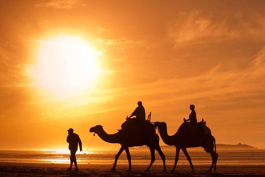 Picture 6 for Activity Agadir: Camel Ride With Tea & BBQ Dinner Option