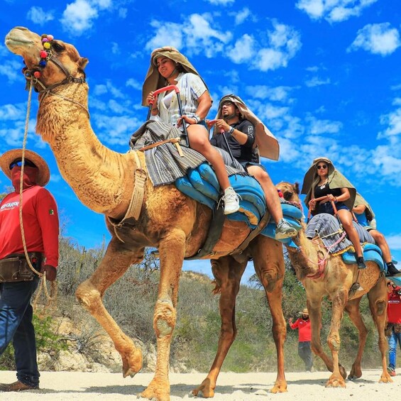 Agadir: Camel Ride With Tea & BBQ Dinner Option