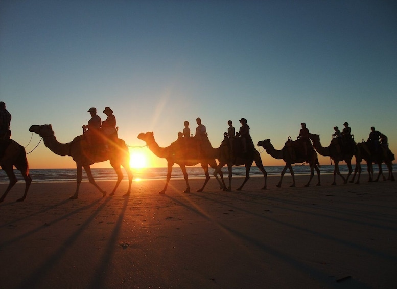 Picture 9 for Activity Agadir: Camel Ride With Tea & BBQ Dinner Option