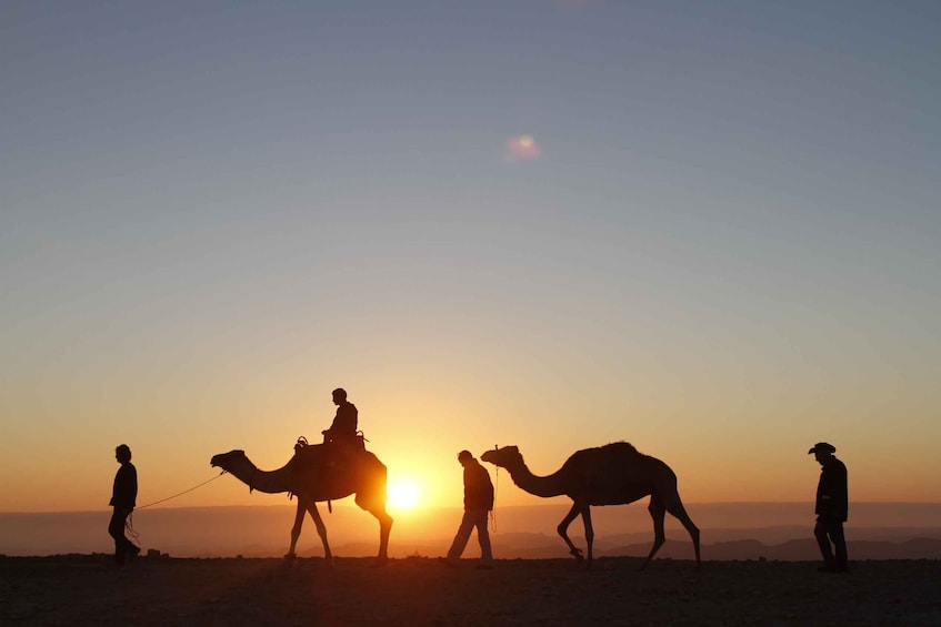 Picture 8 for Activity Agadir: Camel Ride With Tea & BBQ Dinner Option