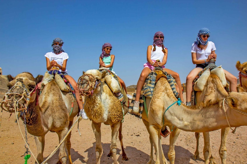 Picture 7 for Activity Agadir: Camel Ride With Tea & BBQ Dinner Option