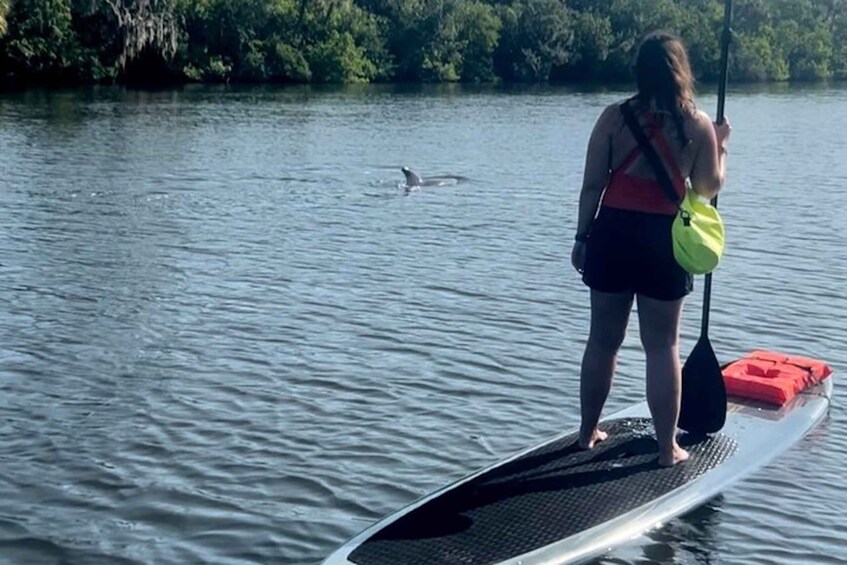 Picture 1 for Activity Cocoa Beach: Dolphin and Manatee Kayak or Paddle Tour