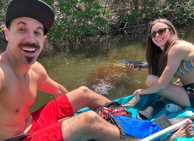 Cocoa Beach: Dolphin and Manatee Kayak or Paddle Tour