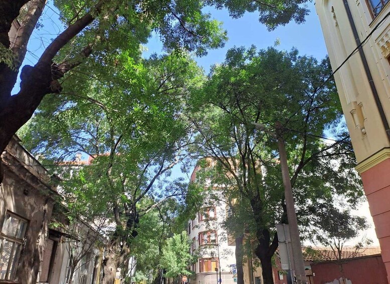 Picture 7 for Activity Belgrade: Jewish walking tour