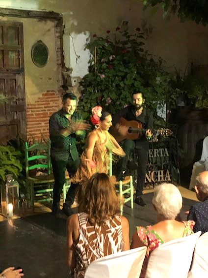 Tablao Flamenco La Puerta Ancha entrance ticket
