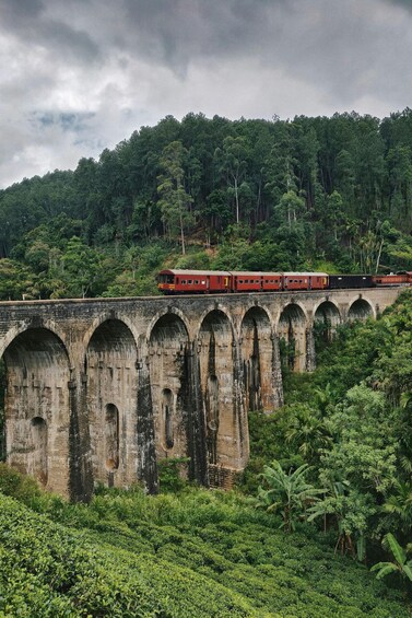 Picture 2 for Activity Ella: Discover Little Adam's Peak, Ella Rock & 9 Arch Bridge