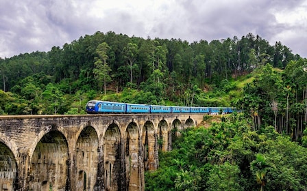 Ella: Discover Little Adam's Peak, Ella Rock & 9 Arch Bridge