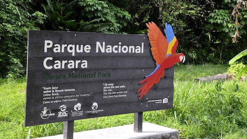 Carara National Park: Guided Walk Carara Costa Rica Nature