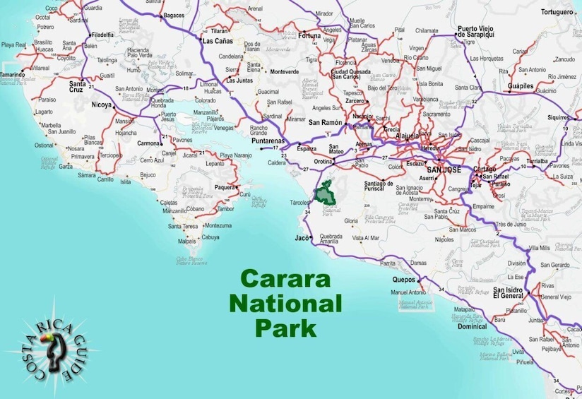 Picture 51 for Activity Carara National Park: Guided Walk Carara Costa Rica Nature