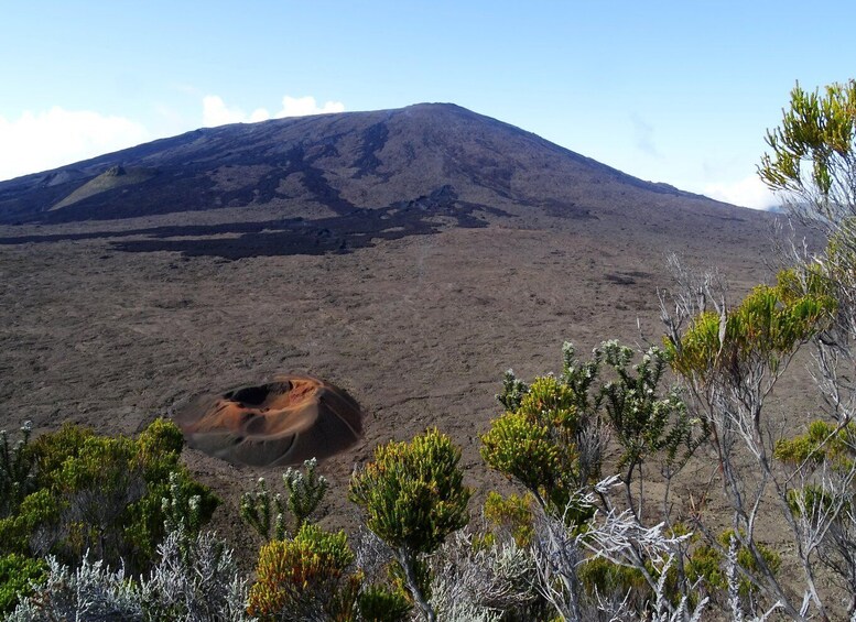 Picture 4 for Activity Guided excursion to the Piton de la Fournaise, Tuesdays.