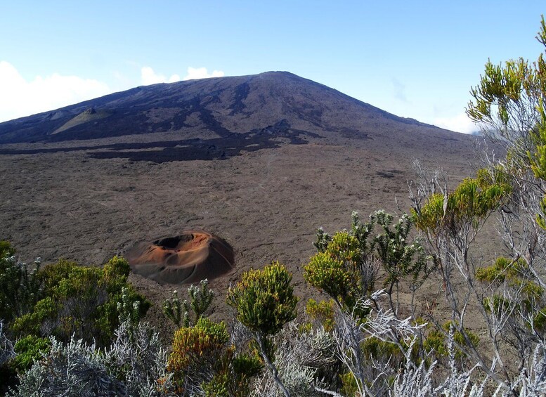 Picture 4 for Activity Guided excursion to the Piton de la Fournaise, Tuesdays.