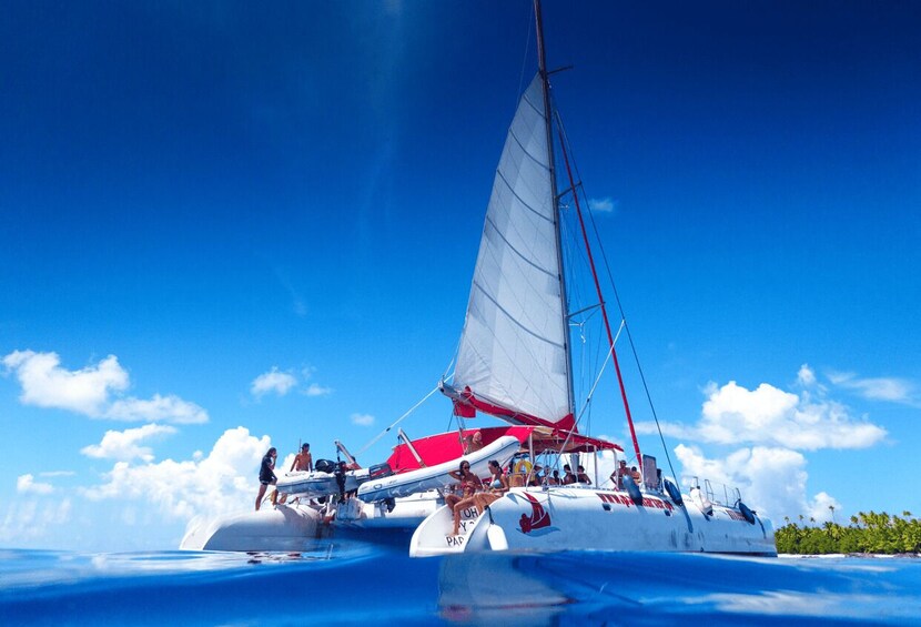 Picture 4 for Activity From Tahiti: Tetiaroa Island Tour by Sailing Catamaran