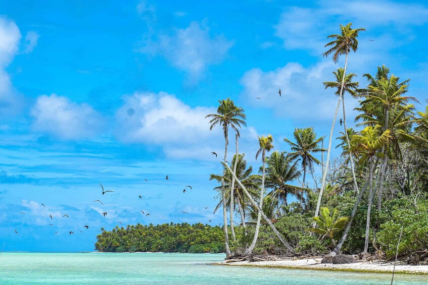 Picture 1 for Activity From Tahiti: Tetiaroa Island Tour by Sailing Catamaran