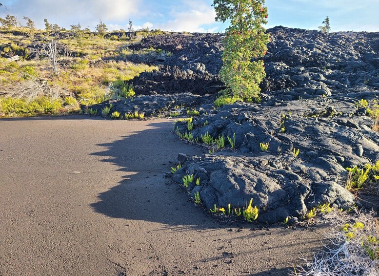 Picture 6 for Activity Big Island: Private Volcano Tour - Volcanoes Nat'l Park