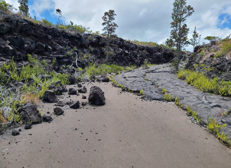 Picture 5 for Activity Big Island: Private Volcano Tour - Volcanoes Nat'l Park