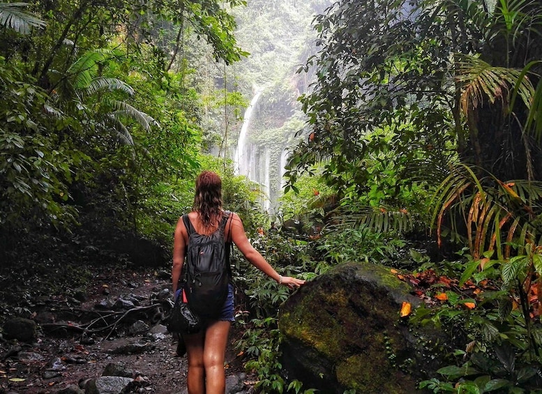 Picture 1 for Activity North Lombok: Sendang Gile Waterfall & Senaru Village Tour