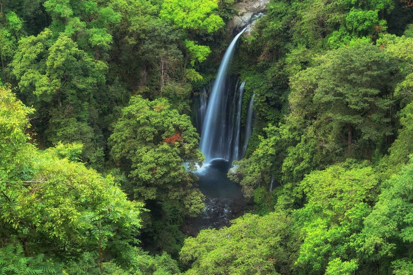 Picture 2 for Activity North Lombok: Sendang Gile Waterfall & Senaru Village Tour