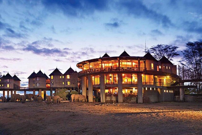 3 Days Safari to Saltlick lodge From Nairobi