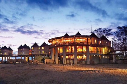 3 Tage Safari zur Saltlick Lodge von Nairobi aus