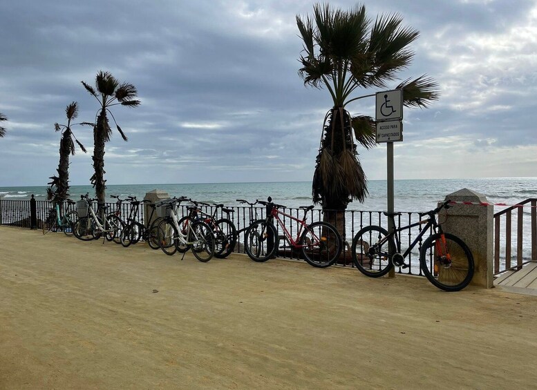 Picture 9 for Activity Fuengirola: City Highlights Guided Bike Tour