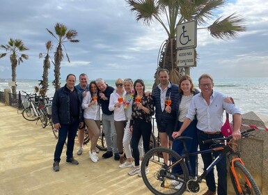 Fuengirola: Fietstour met gids door de stad