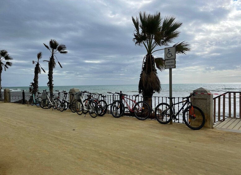 Picture 9 for Activity Fuengirola: City Highlights Guided Bike Tour