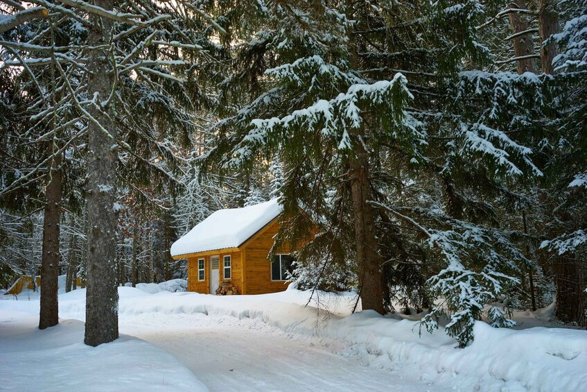 Picture 6 for Activity Mount Etna: Guided Snowshoeing Trekking Tour