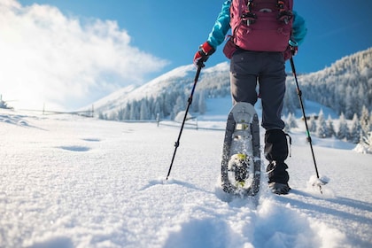 Monte Etna: tour guiado de senderismo con raquetas de nieve