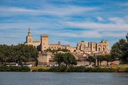 Avignon : Visite guidée à pied privée