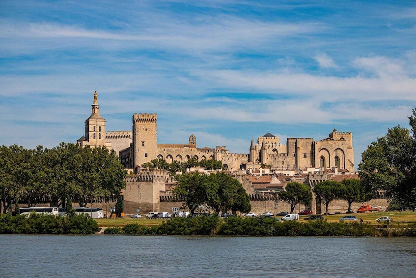 Avignon: Private Guided Walking Tour