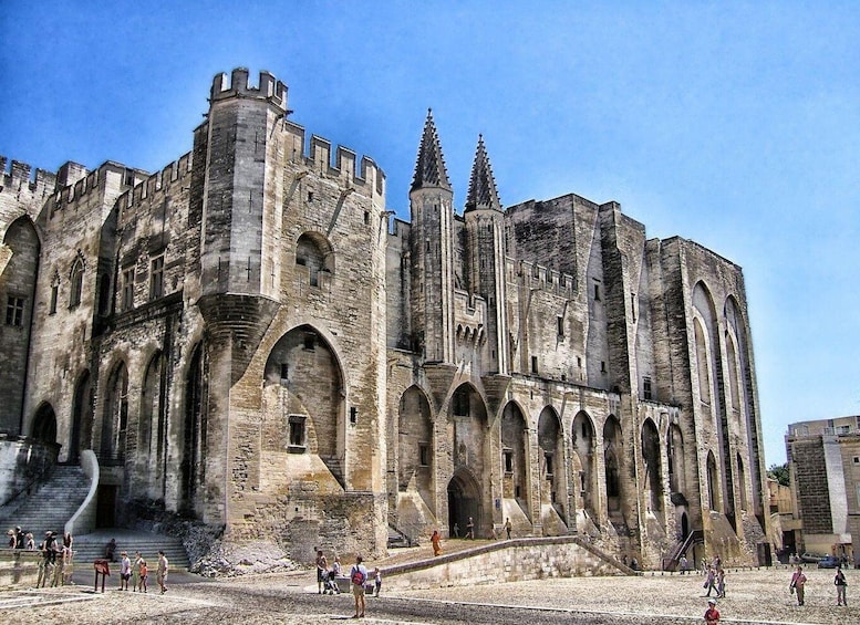 Picture 1 for Activity Avignon: Private Guided Walking Tour