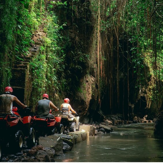 Picture 6 for Activity Ubud: Quad ATV Waterfalls & Barong Caves