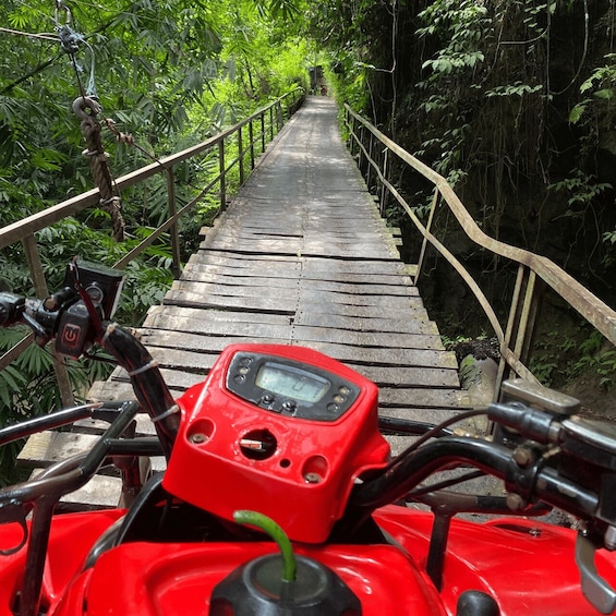 Picture 3 for Activity Ubud: Quad ATV Waterfalls & Barong Caves