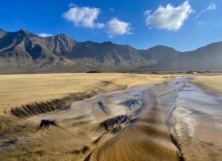 Picture 4 for Activity Las Palmas: Fuerteventura Cofete Beach and Desert Safari