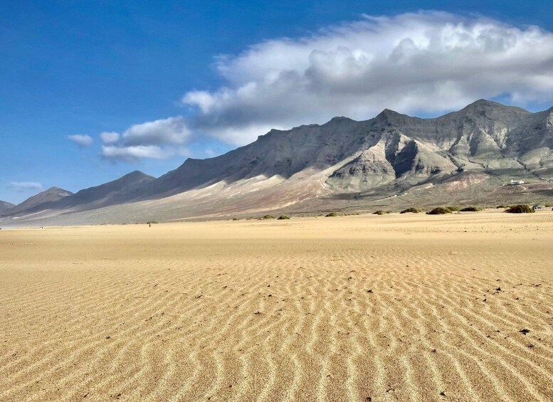 Picture 6 for Activity Southern Fuerteventura: Cofete Beach and Desert Safari