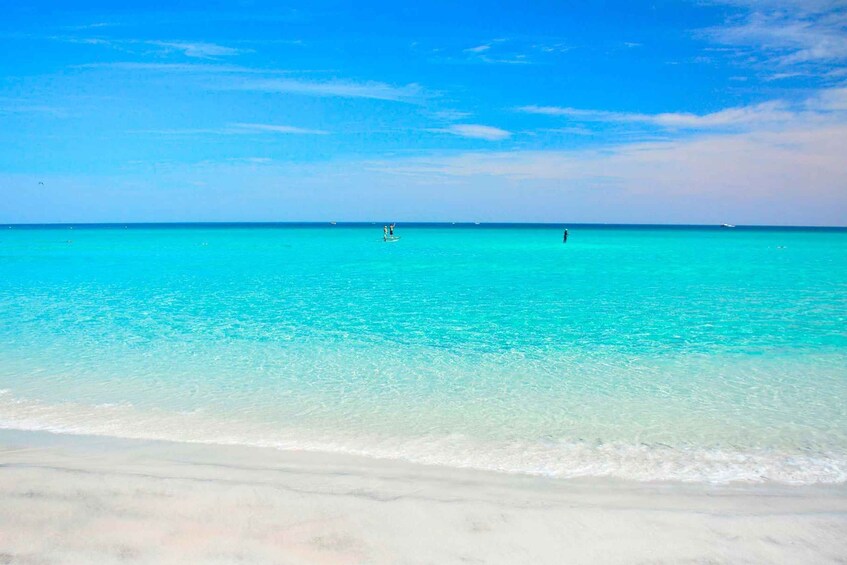 Picture 17 for Activity Arraial do Cabo, the Brazilian Caribbean