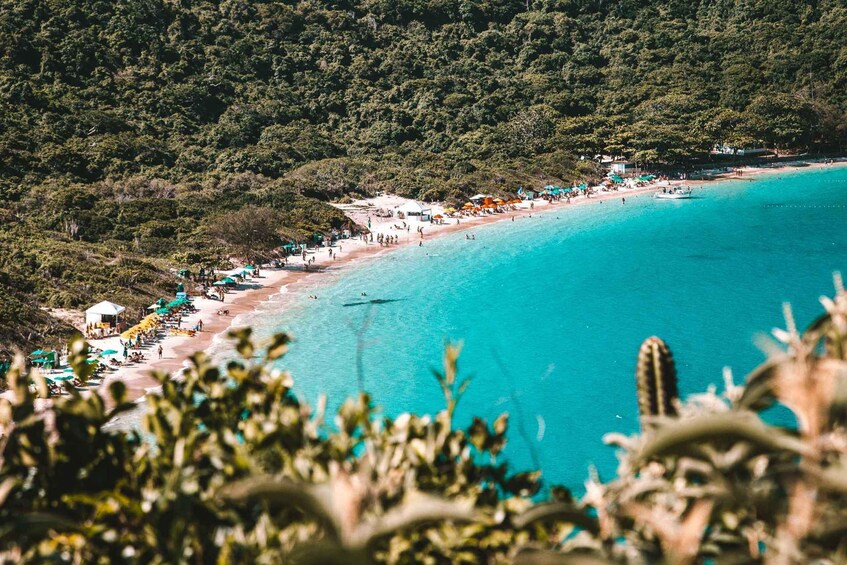 Picture 11 for Activity Arraial do Cabo, the Brazilian Caribbean