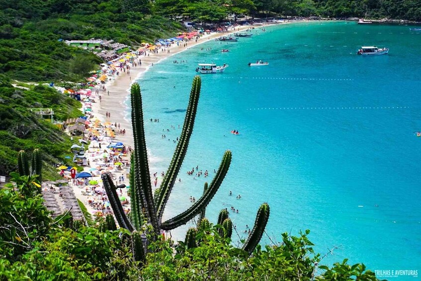 Picture 13 for Activity Arraial do Cabo, the Brazilian Caribbean