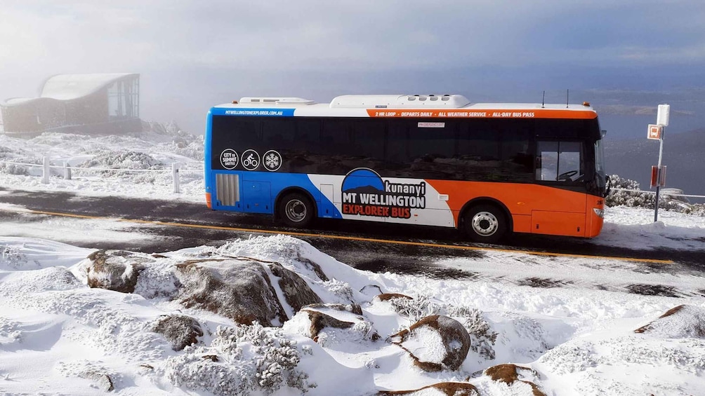 Picture 4 for Activity Hobart: kunanyi/Mt Wellington Explorer Bus Pass