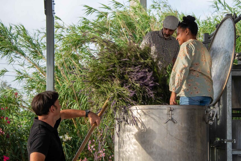 Picture 3 for Activity Flowers picking and essential oil distillation workshop