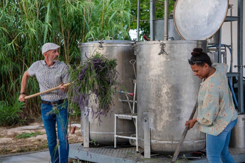 Picture 2 for Activity Flowers picking and essential oil distillation workshop