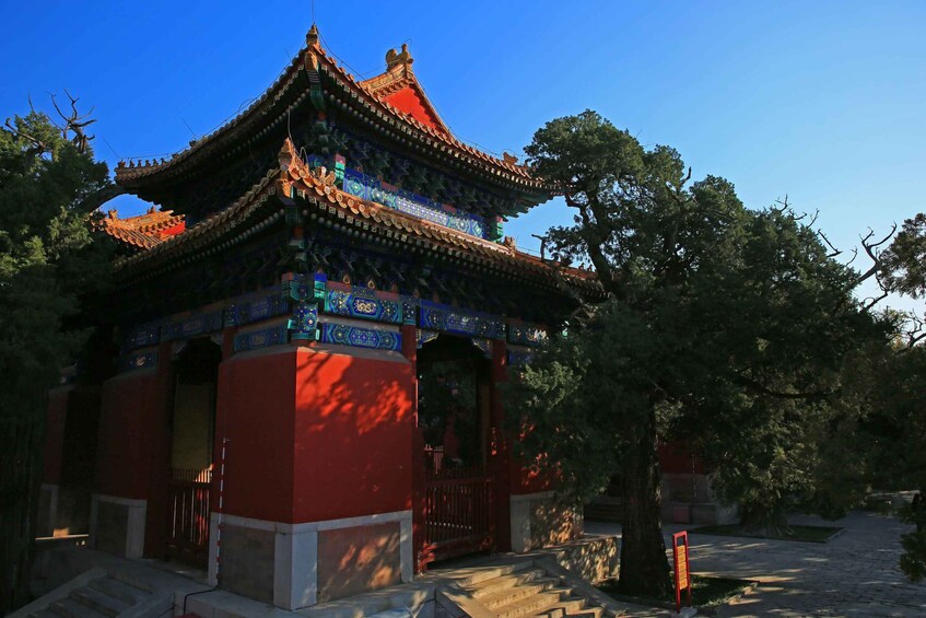 Picture 6 for Activity Beijing: Lama Temple, Confucius Temple and Guozijian Museum