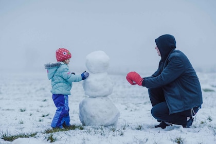 Winter Wonderland Escape: Mt. Charleston