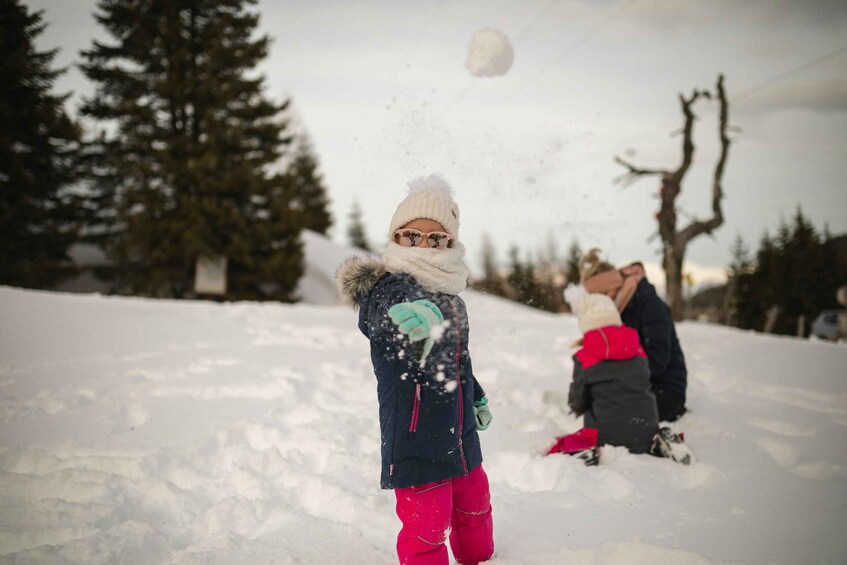 Picture 7 for Activity Winter Wonderland Escape: Mt. Charleston