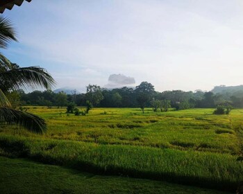 Sigiriya: Guided Bird Watching and Jungle Tour with Lunch