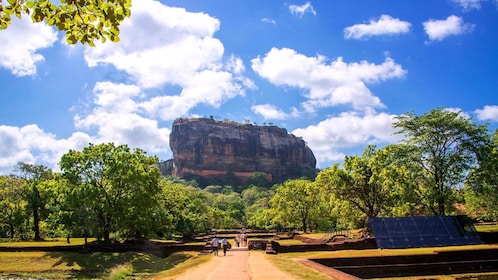 Von Kandy aus: Sigiriya Rock Dambulla & Minneriya Park Tagesausflug