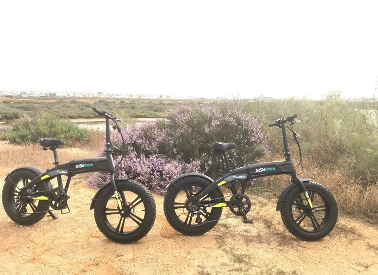 Picture 1 for Activity Huelva: Half- Day E-Bike Rental with Photo Gift