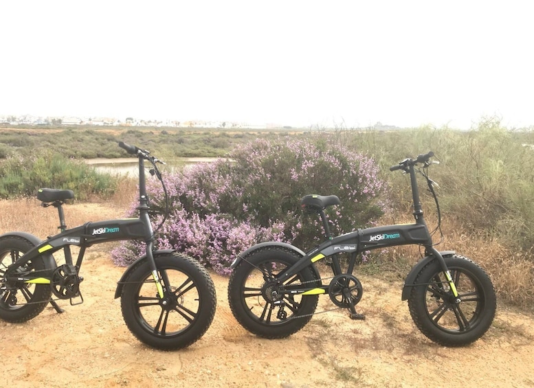 Picture 1 for Activity Huelva: Half- Day E-Bike Rental with Photo Gift
