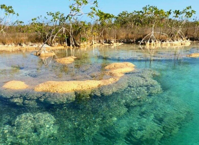 Picture 8 for Activity Bacalar: Magnificent Bacalar Lagoon Exclusive Boat Tour