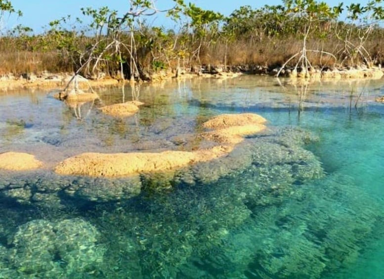 Picture 8 for Activity Bacalar: Magnificent Bacalar Lagoon Exclusive Boat Tour